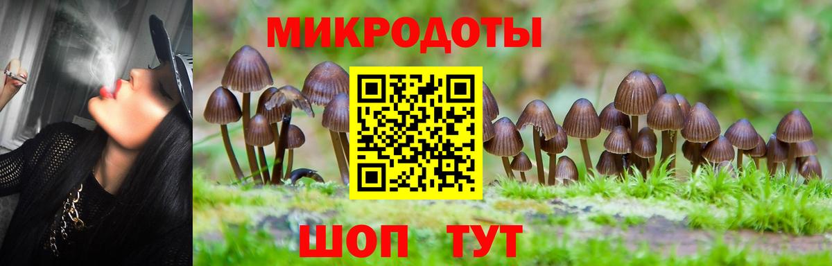 Сердобск  где можно купить   Вход с VPN  Псилоцибиновые грибы мицелий 